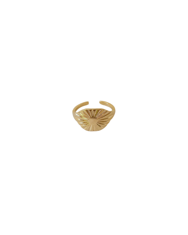 Anel Ema - ouro 18k